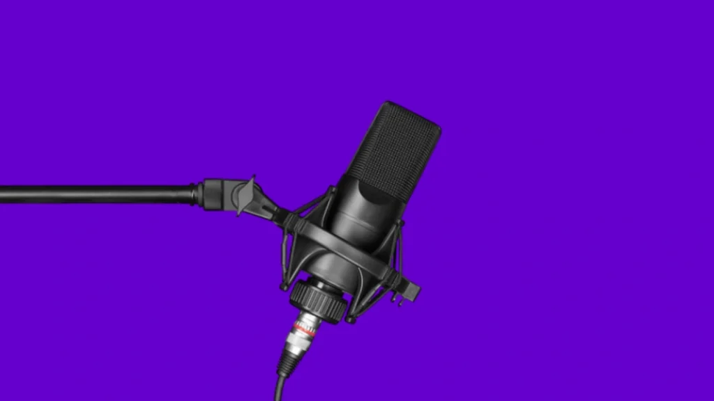 Micrófonos de Estudio para Cantar